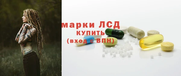 мяу мяу мука Аркадак
