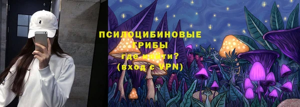 гашик Армянск